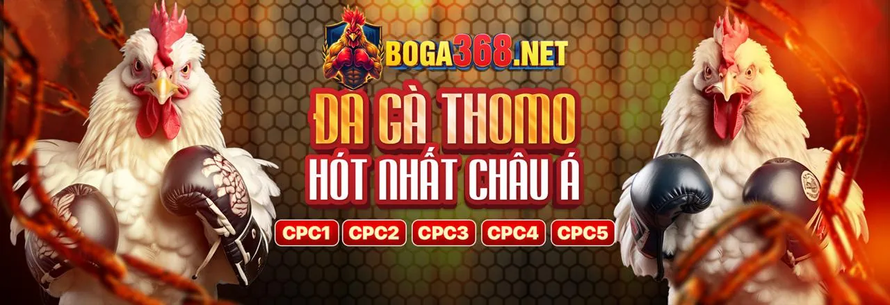 Đá gà trực tuyến Dabet Nhà Cái